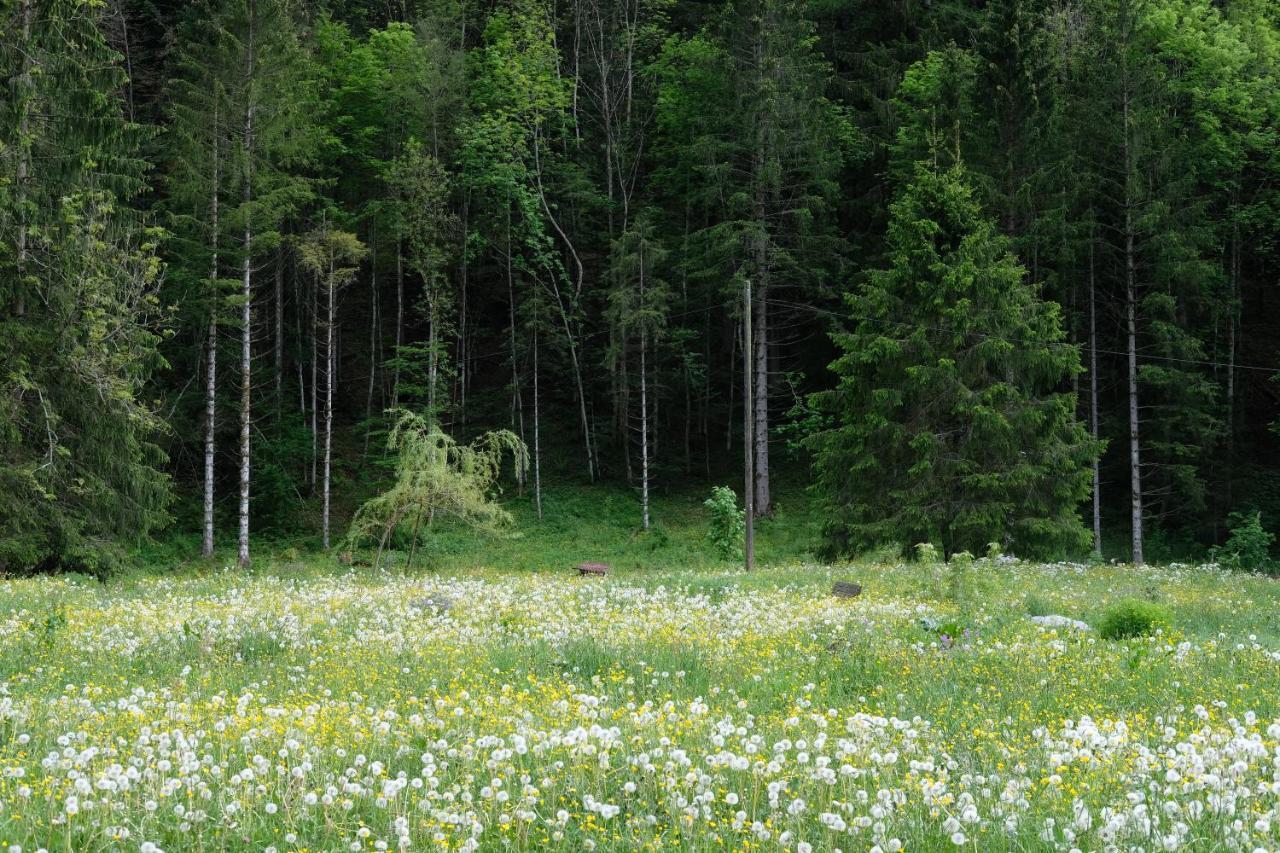 Riversong Centre Thermal Les Plans-sur-Bex Экстерьер фото